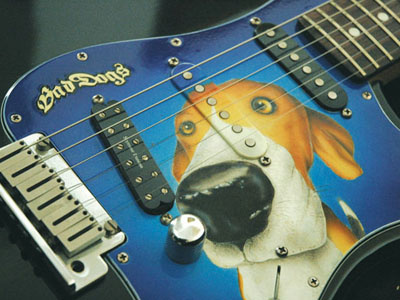 Bad Dogs airbrush fender