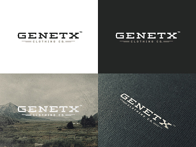 Genetx Identity balan brand graphic design identity logo nicu type