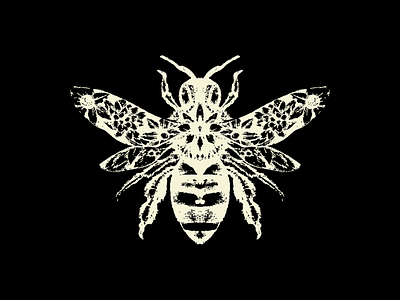 Honey Bee Elixir Bee Sketch for Label
