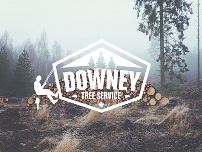 Downey Tree Service barrie branding break down illustration logo logo design media services trees