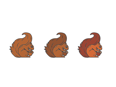 Squirell branding design illustration logo logodesign squirrel