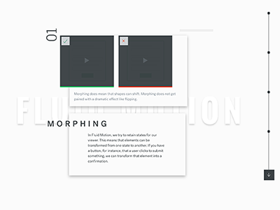 Motion Design Documentation