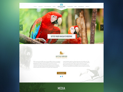 Sittee River Wildlife Reserve belize parrot reserve website wildlife
