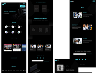 Blue Gorilla UI dark ui digitaldesign minimal uidesign webdesign website website design