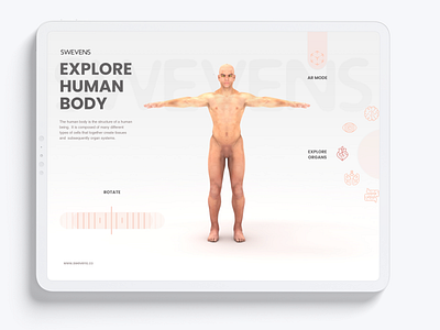 Human Anatomy - WebXR Augmented Reality augmentedreality mixedreality virtualreality web webar website webxr