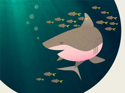 shark animal illustration photoshop