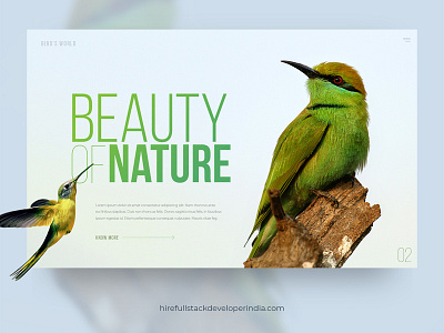 Beauty of Nature branding design design agency design app illustration ui ux web website