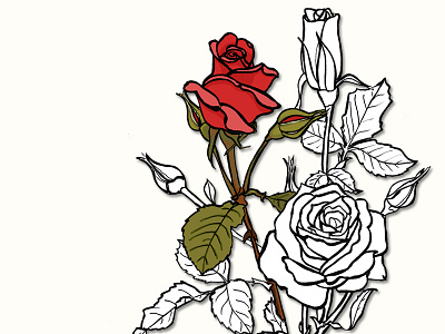 Roses illustration pen red sketch roses