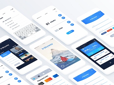 Skyway clean flight nyc sketch travel ui ux