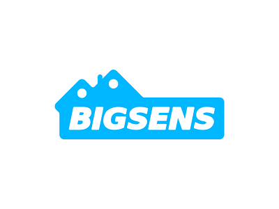 Bigsens — Smart House branding flat house identity iot logo logotype polished schema simple structure