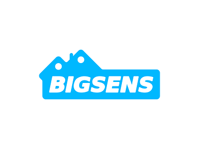 Bigsens — Smart House