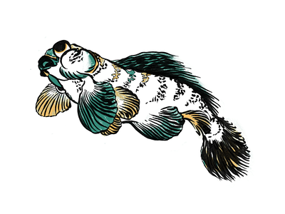 Hokusai Fish fish hokusai illustration illustrator ipad ipad pro japan manga procreate
