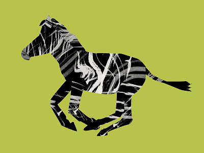 Zebra animal design digitalart illustration wild zebra