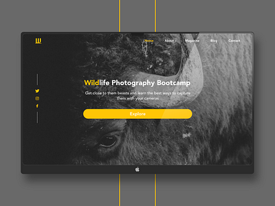 Does wildlife photography interest you? adobexd photography ui web design webdesign website website concept website design websites wildlife