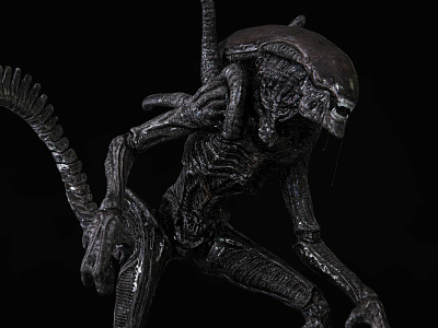 Xenomorph - Alien