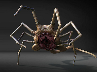 Facehugger 3d art 3d artist alien aliens autodesk maya cgi digital 3d digitalart fanart fantasy hr giger keyshot macabre monster parasyte ridleyscott spider substance painter xenomorph zbrush