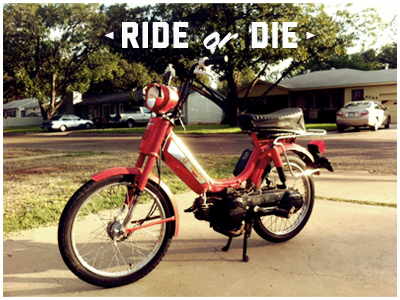 Ride or Die fun hog moped