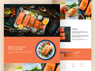 Landing Page: NewSchoolFoods figma landing page salmon sea food ui ui design ux web design