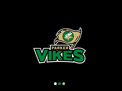 Parker Vikings Brand Identity Refresh