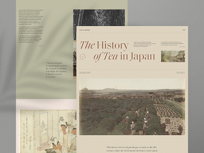 Historical website branding homepage outline2design o2d concept typography webdesign