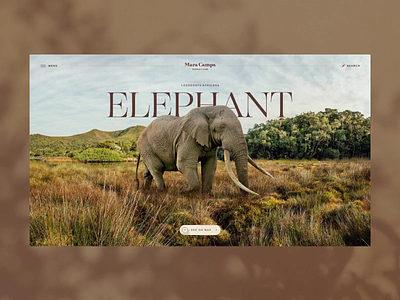 Mara Camps Safari Elephant page africa animation branding creative design elephant illustration inspiration logo motion graphics o2d safari travel travelagency ui ux webdesign