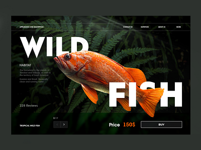 Home page wild fish animal creative design first shot fish header homepage key visual layout minimal portfolio shot typogaphy typography design ui ux web web design webdesign website