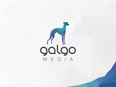 Galgomedia brand branding design icon illustration logo typography vector