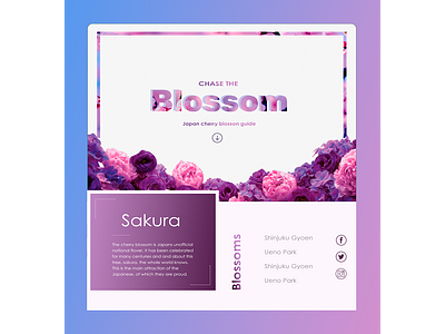 Blossom