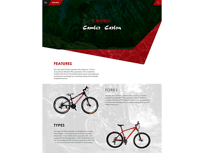 mountain bicycles