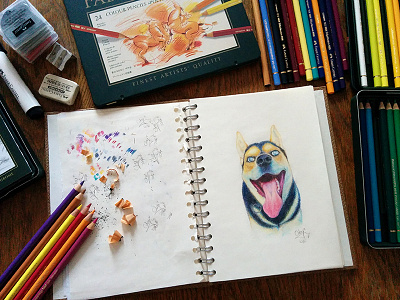 Spasi colors dog drawing fabercastell pencils polychromos portrait sketchbook summer