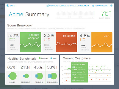 Acme Satisfaction charts data visualization dataviz