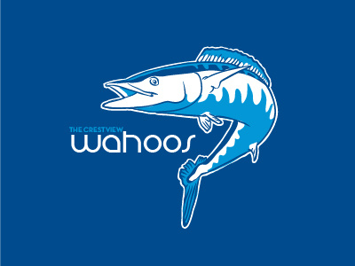 Wahoo Fish fish graphic design illustration logo swimming wahoo