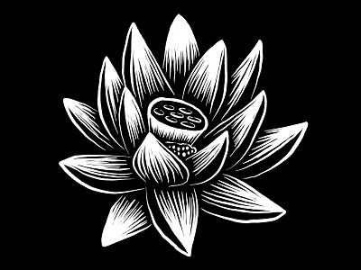 Lotus black and white illustration lotus woodcut