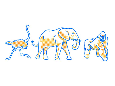 Animals animals color elephant gorilla illustration line minimal ostrich simple