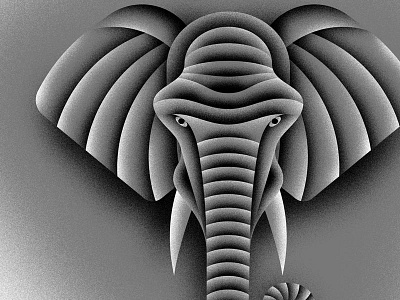 Elephant Head animal color elephant grain grey head texture tusk