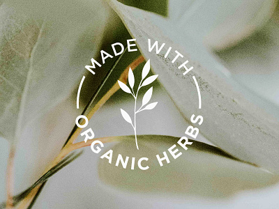 Icon branding circular herb icon identity logo logodesign minimal nature organic supplement