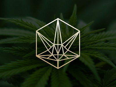 Cannabis Leaf Logo cannabis cbd cbd oil geometric hemp identity logo logodesign minimal nature supplement