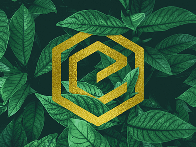 Leaf - My Logo