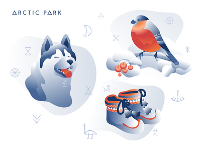Arctic Park bird boots bullfinch dog ethno flat husky illustration snow vector web winter
