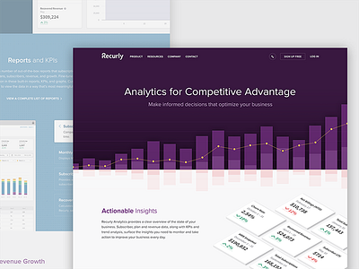 Recurly Analytics Page analytics business dashboard enterprise insights reporting web page