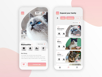 Pet Adoption - Application Design adoption app cat clean design dogs expierience helper pet pets ui user userinterface ux