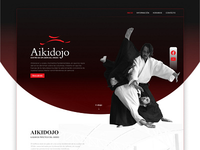 Dribble aikido design japan landing modern onepage oriental ux website