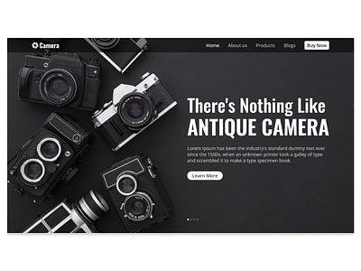 Camera - Website Banner antique banner banner design banners camera camera icon camera website ui uiux web web design website