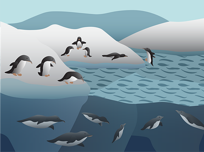 Penguins design illustration vector