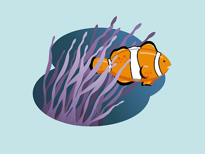 Clownfish art artist clownfish design drawing illustration llustrator sea life underwater vector