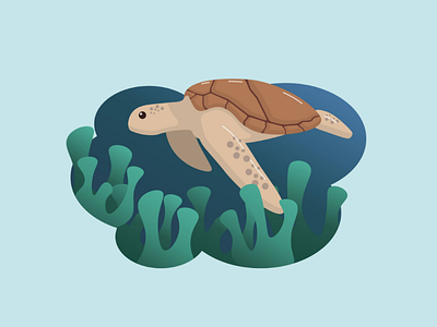 Sea turtle design graphic design illustration illustrator summer underwater vector