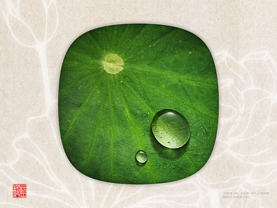 Dewdrop on a lotus leaf by Photoshop