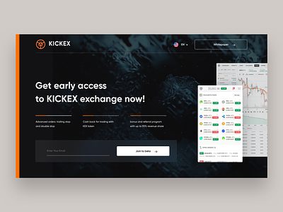 kickex_landing_page.png