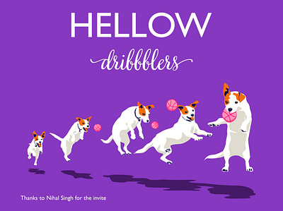 1 Hellow dribbble! 2 debut dog firstshot illustration newplayer vector