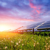 Ирина Колесниченко